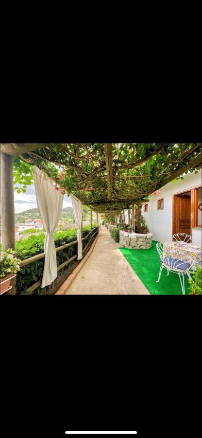 Guesthouse Coralba Казамиччола-Терме Экстерьер фото
