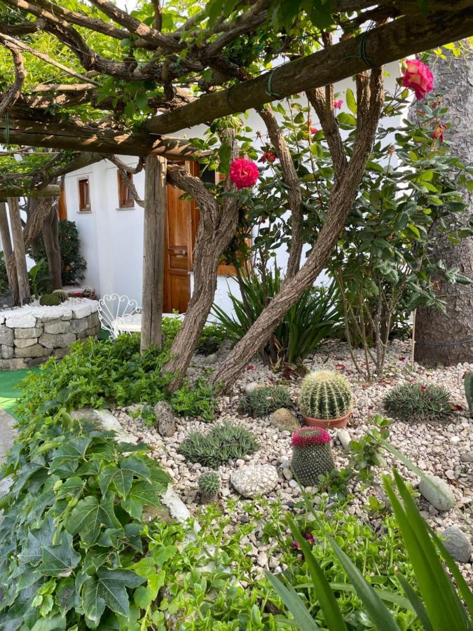 Guesthouse Coralba Казамиччола-Терме Экстерьер фото