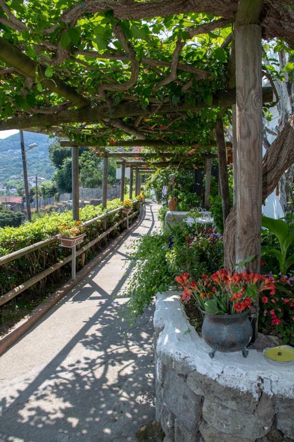 Guesthouse Coralba Казамиччола-Терме Экстерьер фото